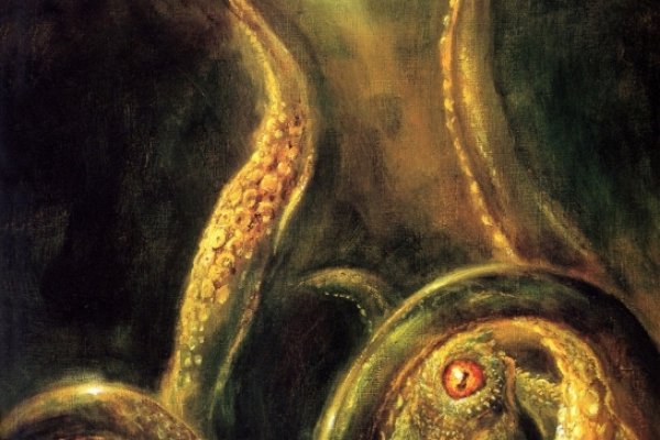 Kraken 12at