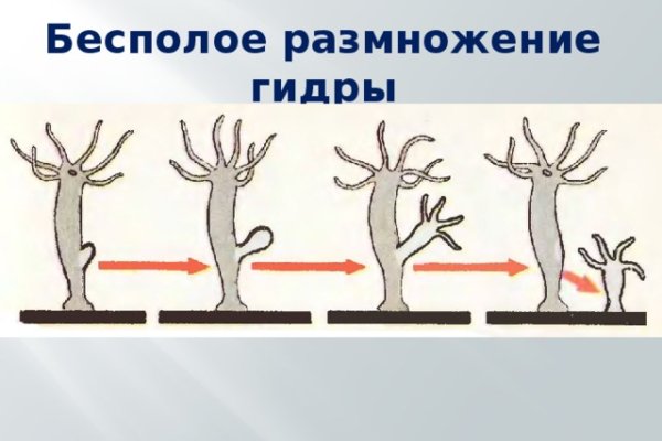 Кракен shop