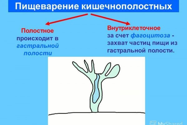 Кракен лучший маркетплейс