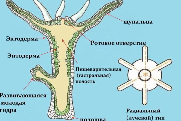 Kraken 14 at сайт