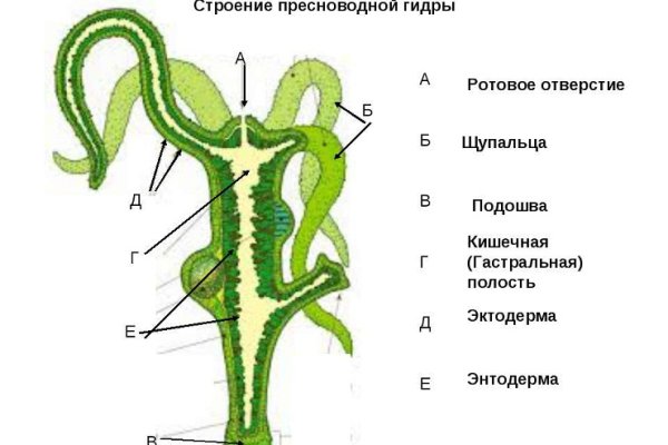 Кракен верификация