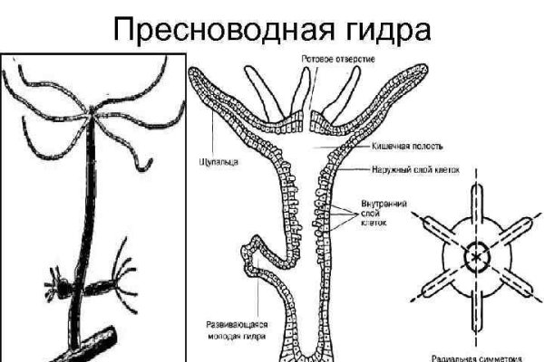 Сайт кракен зайти